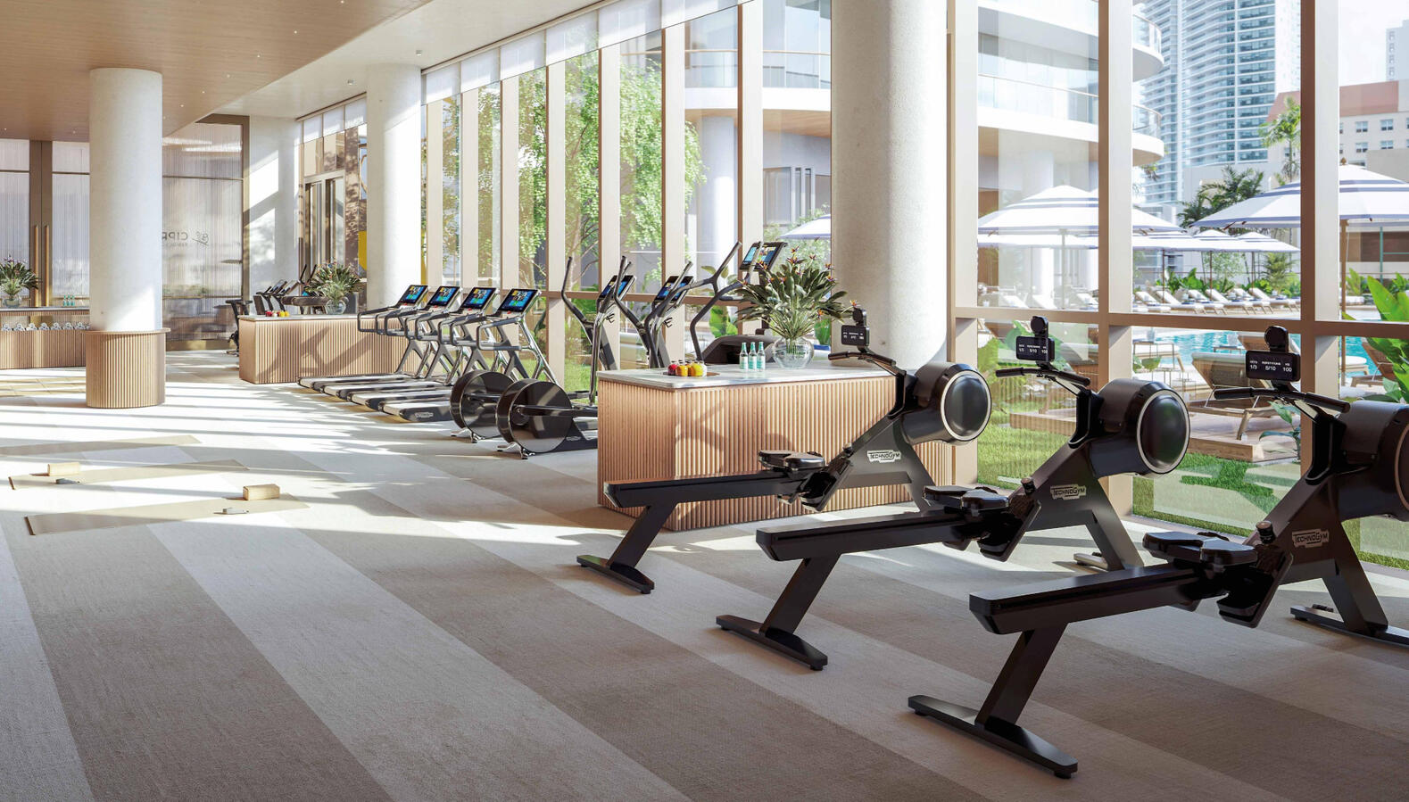 Modern Gym